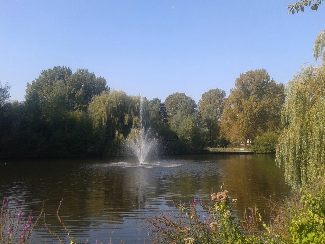 Fontein in het Wilhelminapark. Foto: V. Oldenborg