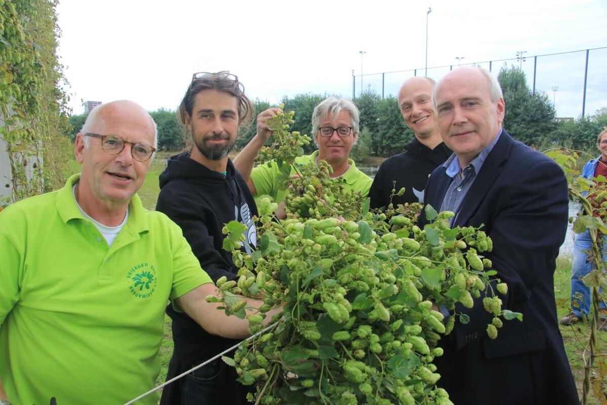 Hopmeister Peter Mocking, Marcel Snater, Bart van Aller, Ewald Visser en wethouder Kees Geldof oogsten de eerste hop in het Máximapark. Foto: J. de Boer
