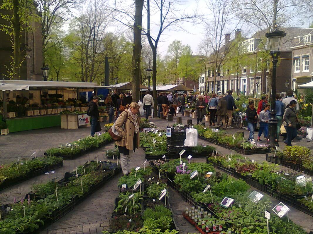 De zaterdagse bloemen- en plantenmarkt op het Janskerkhof. Foto: V. Oldenborg