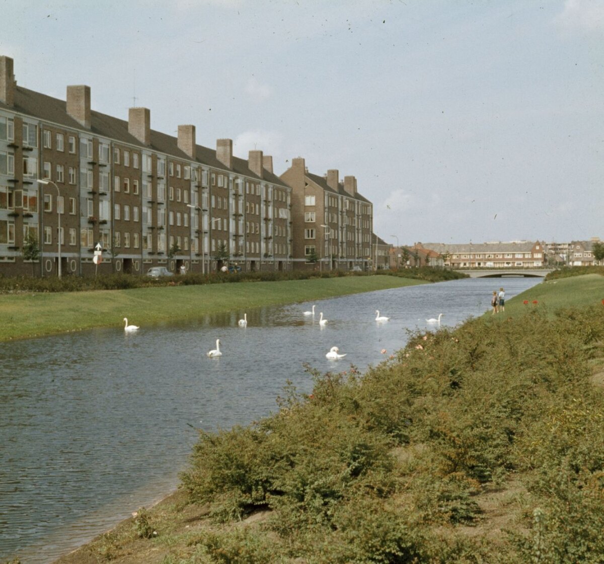 Het plantsoen aan de Oud-Wulvenlaan 1959. Foto: Het Utrechts Archief/J.P. van Alff