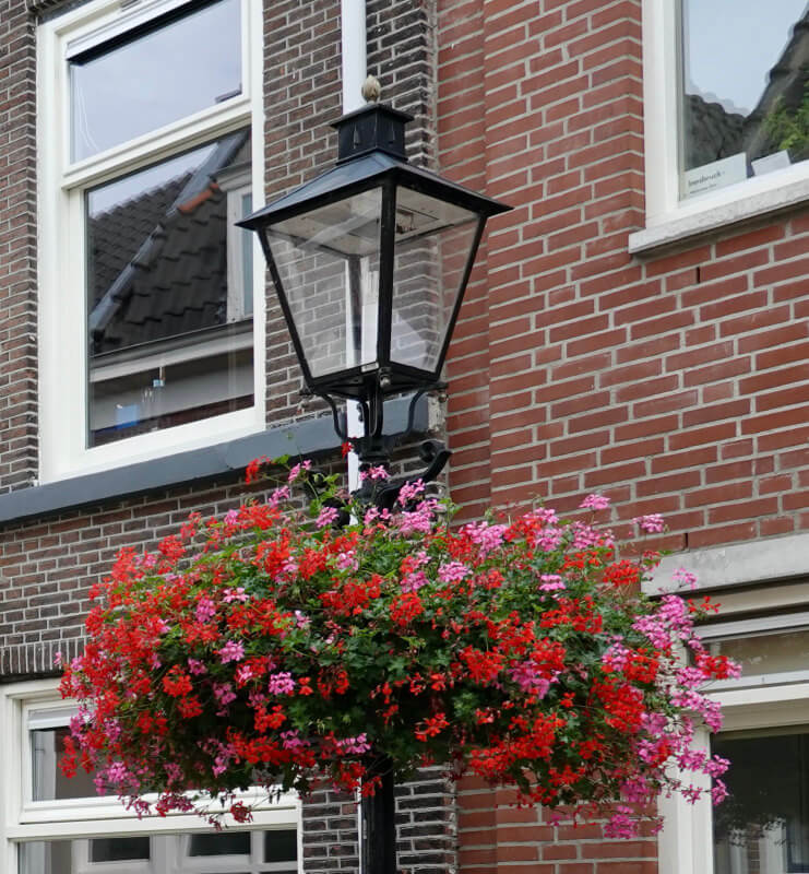 De rood/roze hanging basket van 2019. Foto: Dik Binnendijk 