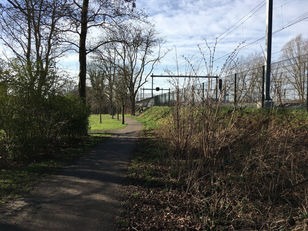 Wandelen in het groen. Foto: Dik Binnendijk