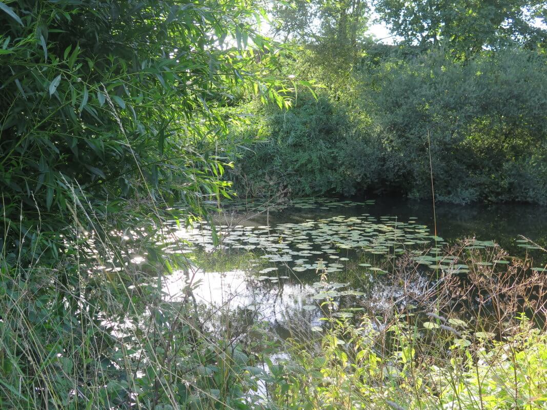 Een van de locaties waar de oude Romeinse weg door Lunetten liep. Foto: Paul Hustinx 