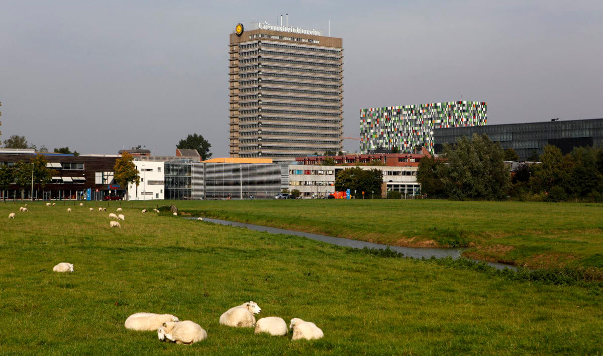 De weilanden aan de Toulouselaan in 2010 met op de achtergrond het Willem C. van Unnikgebouw. Foto: Het Utrechts Archief