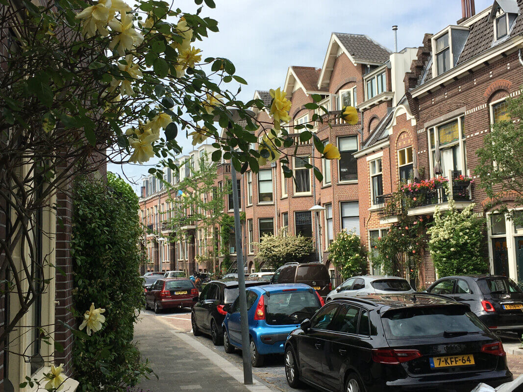 Bellamystraat. Foto: Dik Binnendijk