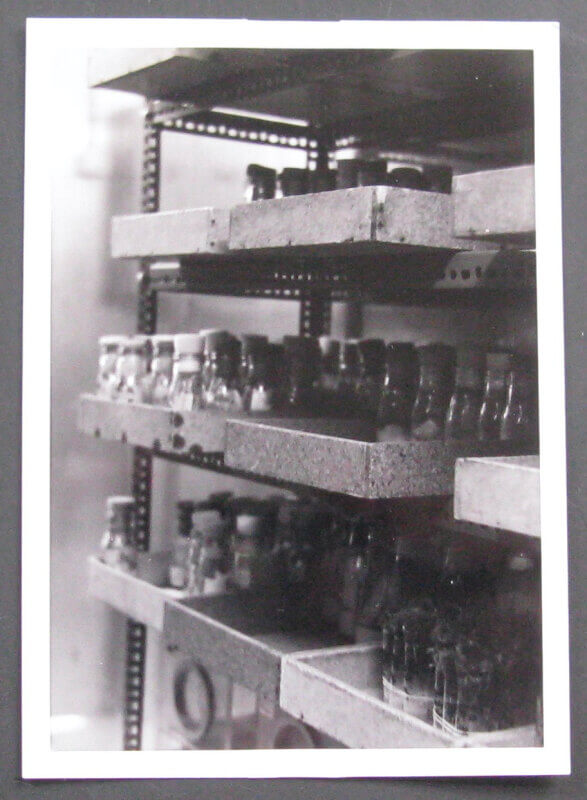 Fruitvliegkweekflesjes en -kweekkooien in de klimaatkamer. Foto: Dik Binnendijk (1972)