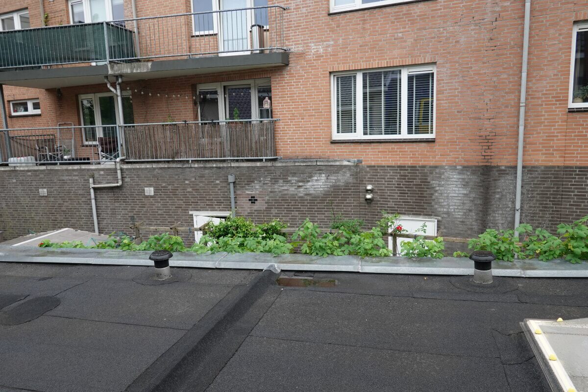 Mijn platte dak, de pergola en het balkon van de achterbuurvrouw met visnet. Foto: Dik Binnendijk