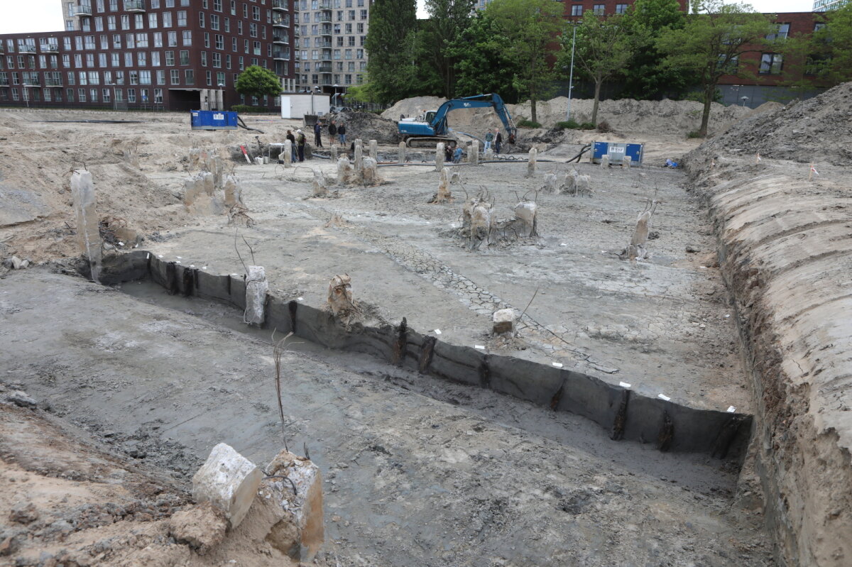 De ingeslagen houten palen langs de Romeinse weg van rond 125. Foto: Ton van den Berg