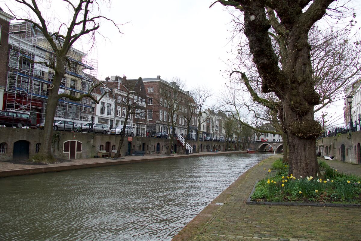 Aan de overkant van de gracht de rij bomen waar er zes binnenkort gekapt worden. Foto: Ton van den Berg