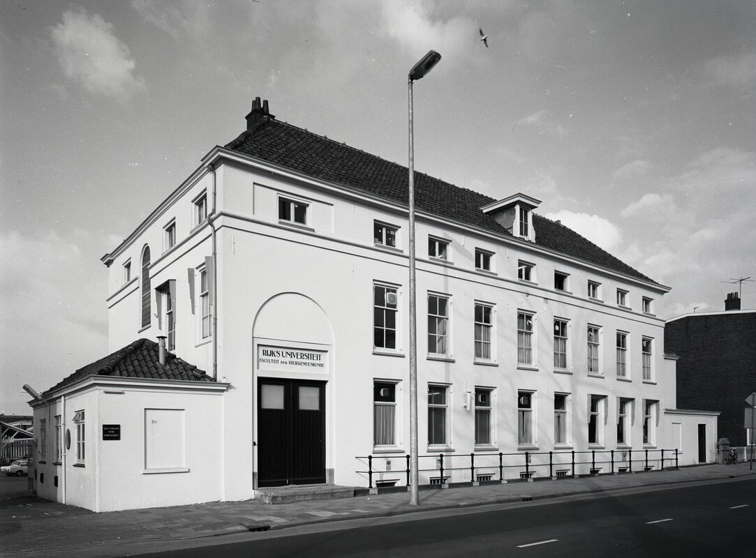 Gebouw A-1 van de Faculteit Diergeneeskunde aan de Biltstraat in 1973. Foto: Het Utrechts Archief