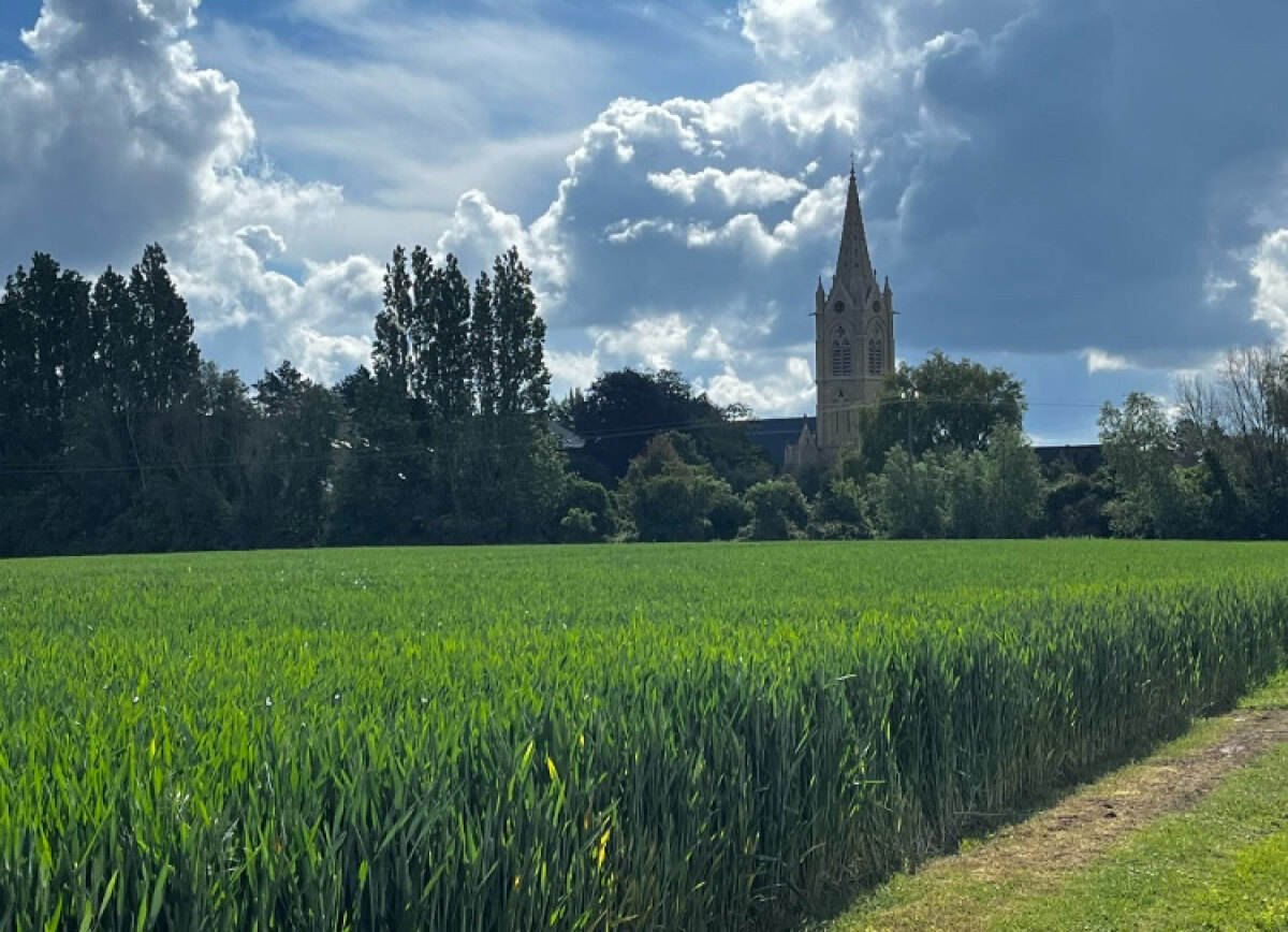 Maaiveld en kerk in Noord-Frankrijk. Foto: Van Gemert