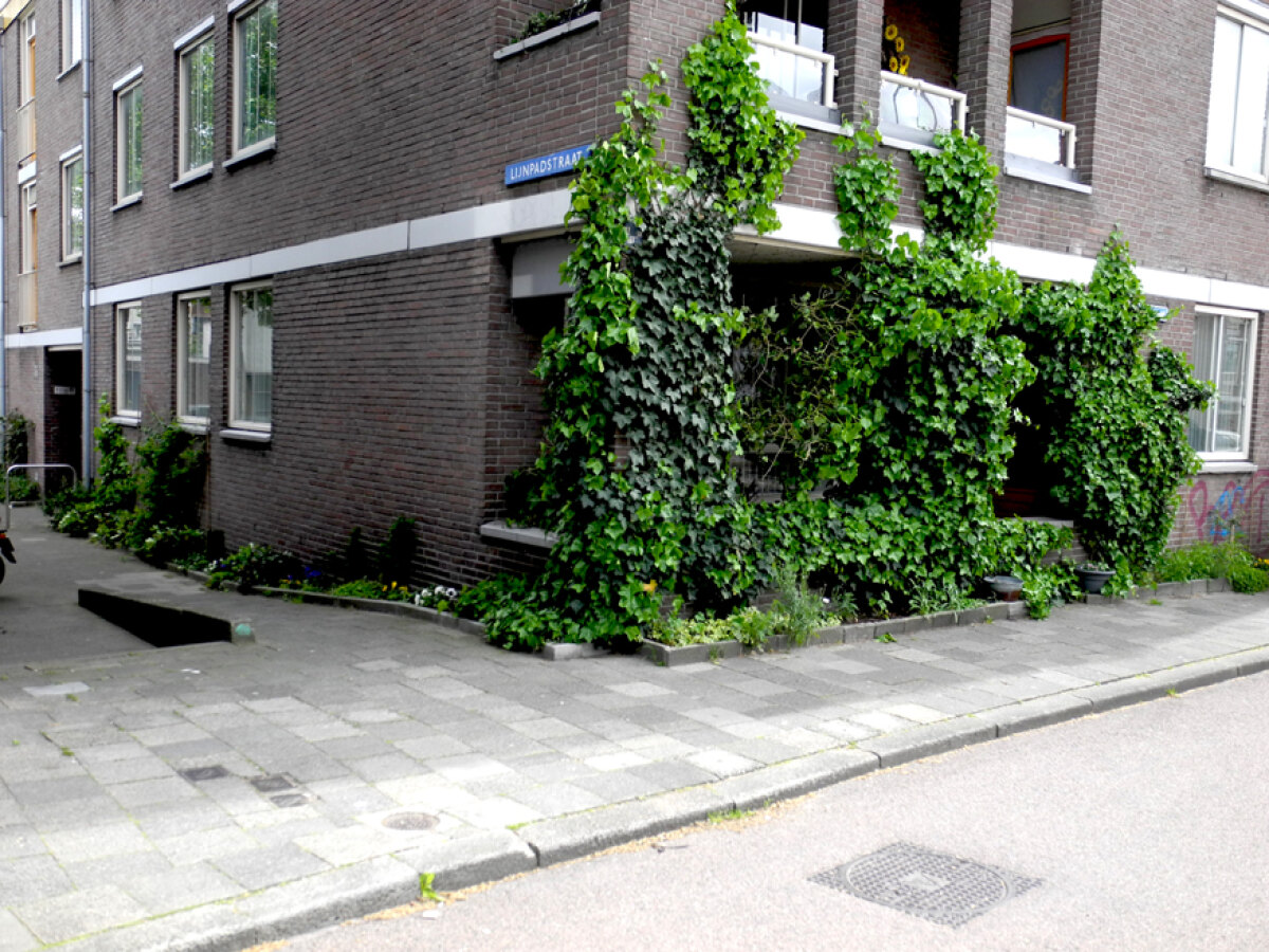 Het plaatsje aan de Bleekstraat is geheel overwoekerd.