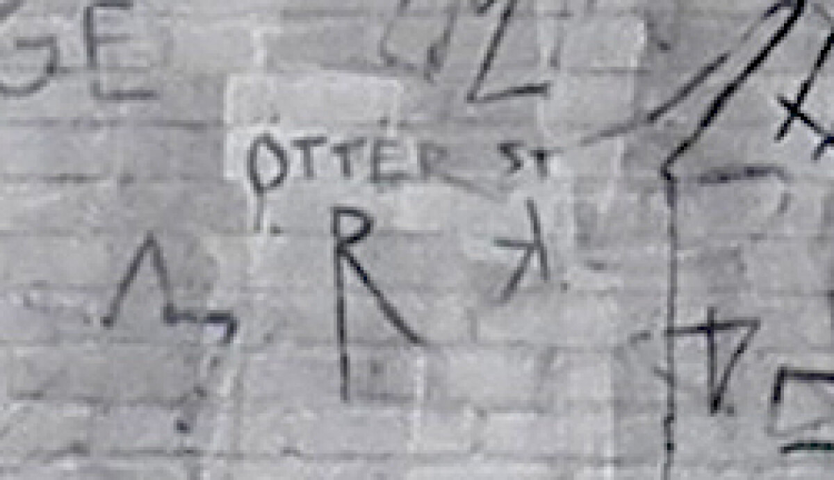 Detail van de foto waarop te zien is waar de otter getekend gaat worden.