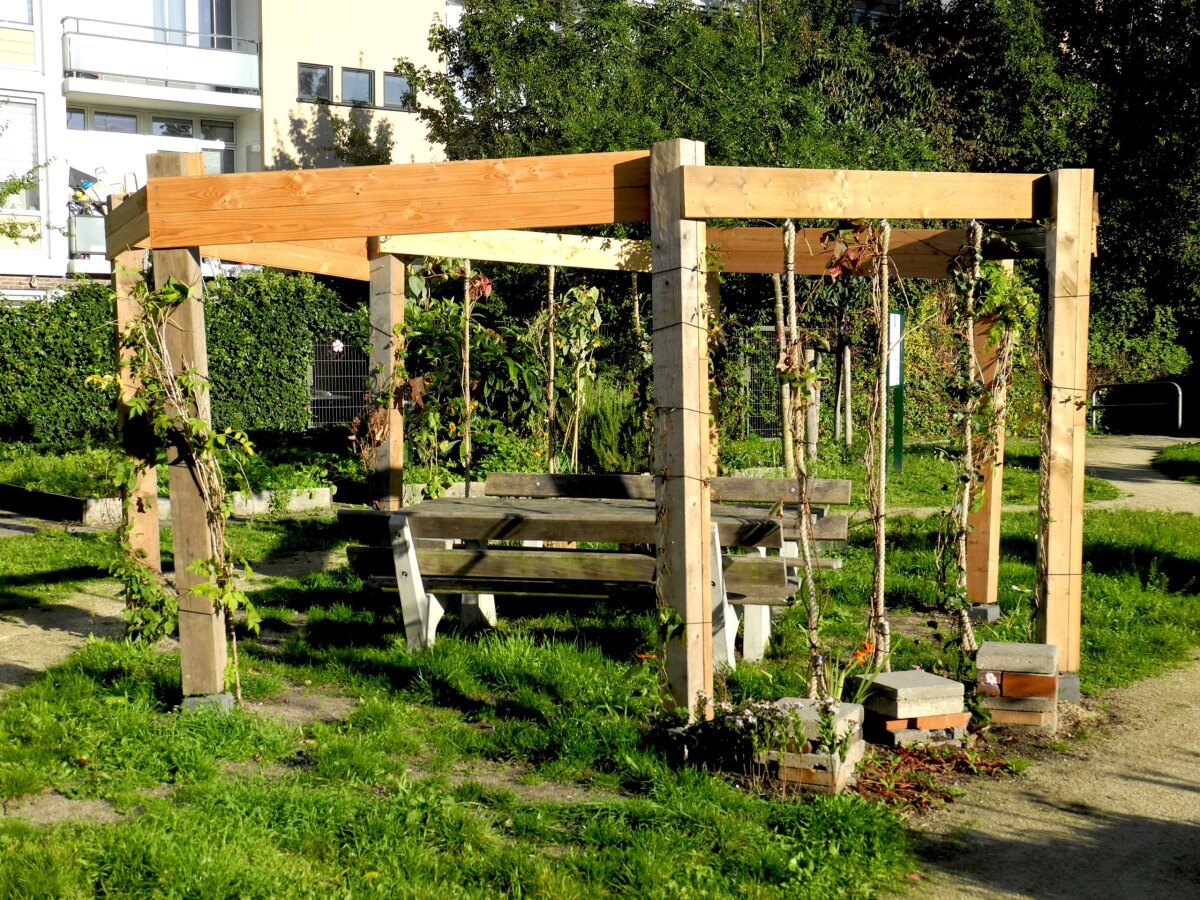 De nieuwe pergola zal volgend jaar overdekt zijn met druivenranken. Foto: Joost van Waert