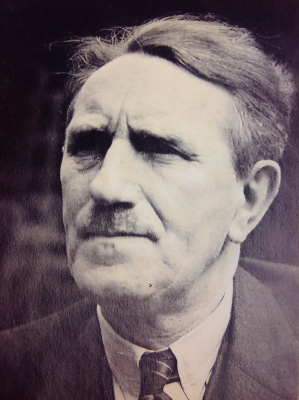 Jan Kok