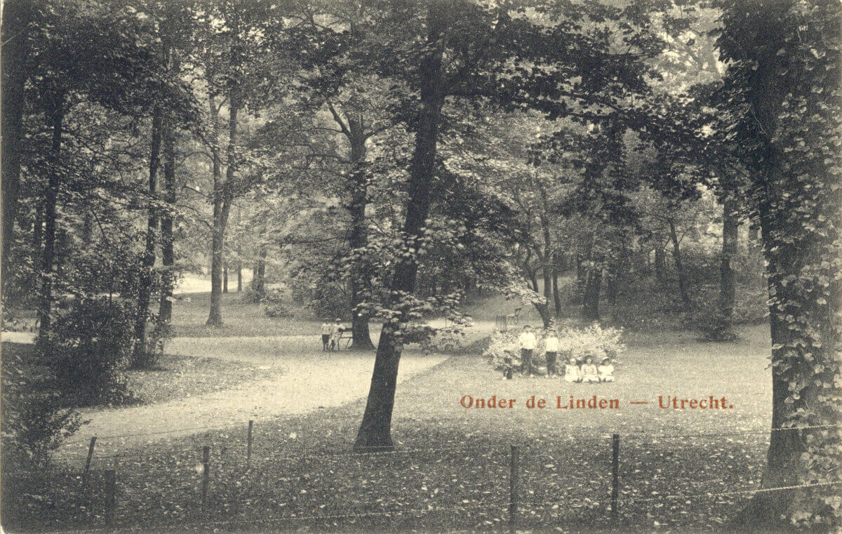 Ansichtkaart 1905-1915 met een foto van het groen dat voor de Sterrenwacht te zien is