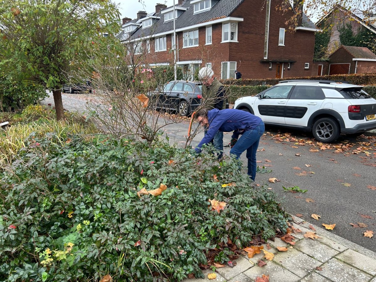Cyrille met een buur aan het werk (foto: JP)