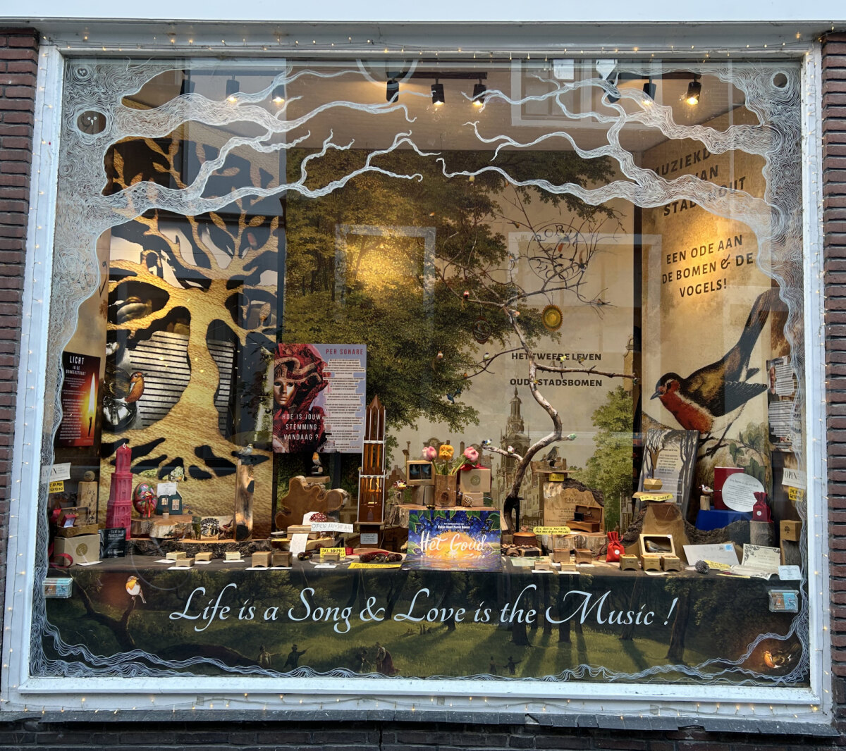 Etalage van de winkel in de Donkerstraat. Foto: JT