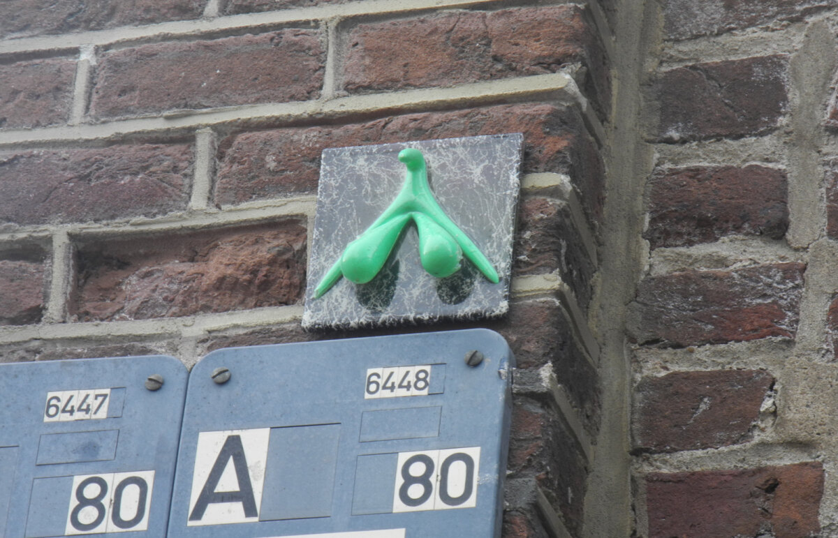 Een clitoris van felgroen plastic op de Lange Rozendaal, hoek Oudegracht. Foto: JvW