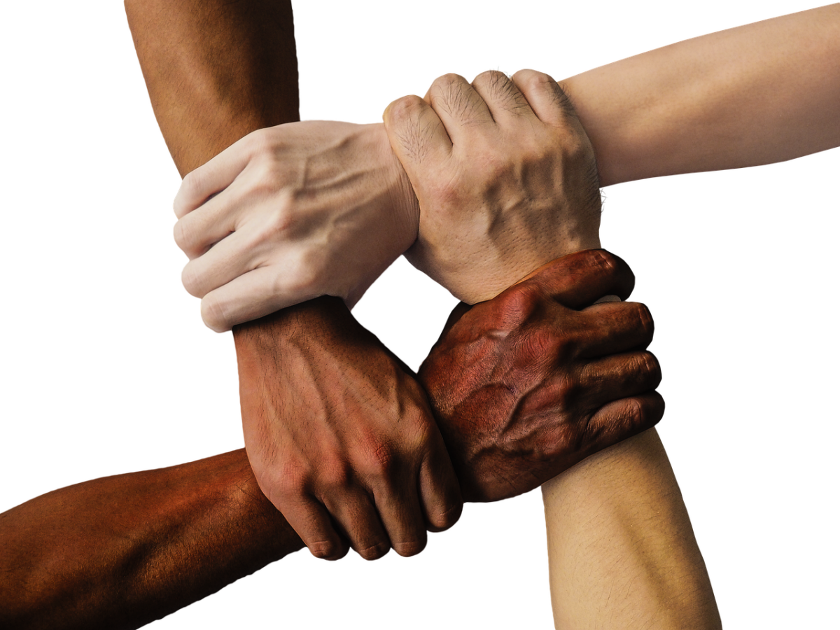 Afbeelding van truthseeker08 via Pixabay