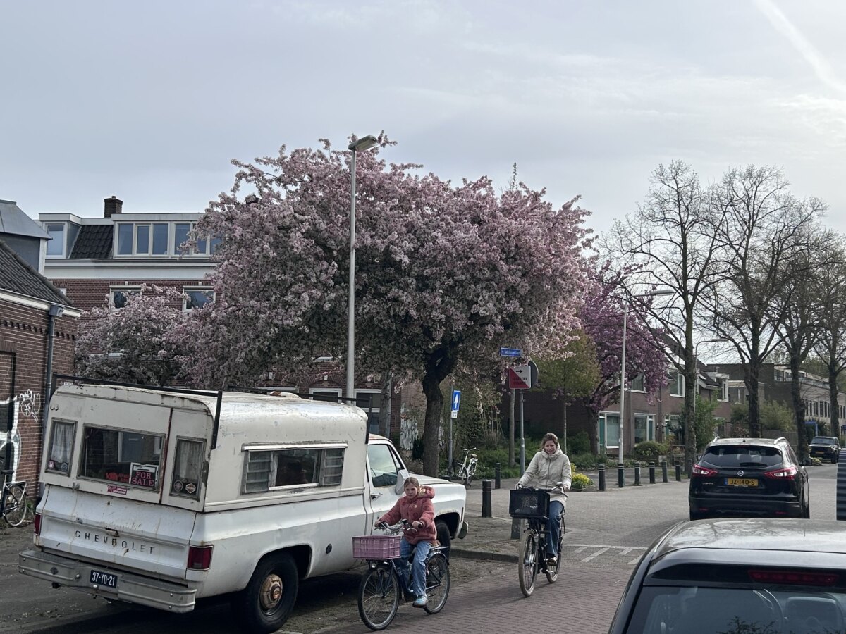 Notebomenlaan