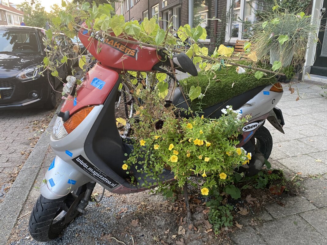 De versierde scooter op de Pieter Nieuwlandstraat in Tuinwijk. Foto: Jim Terlingen 