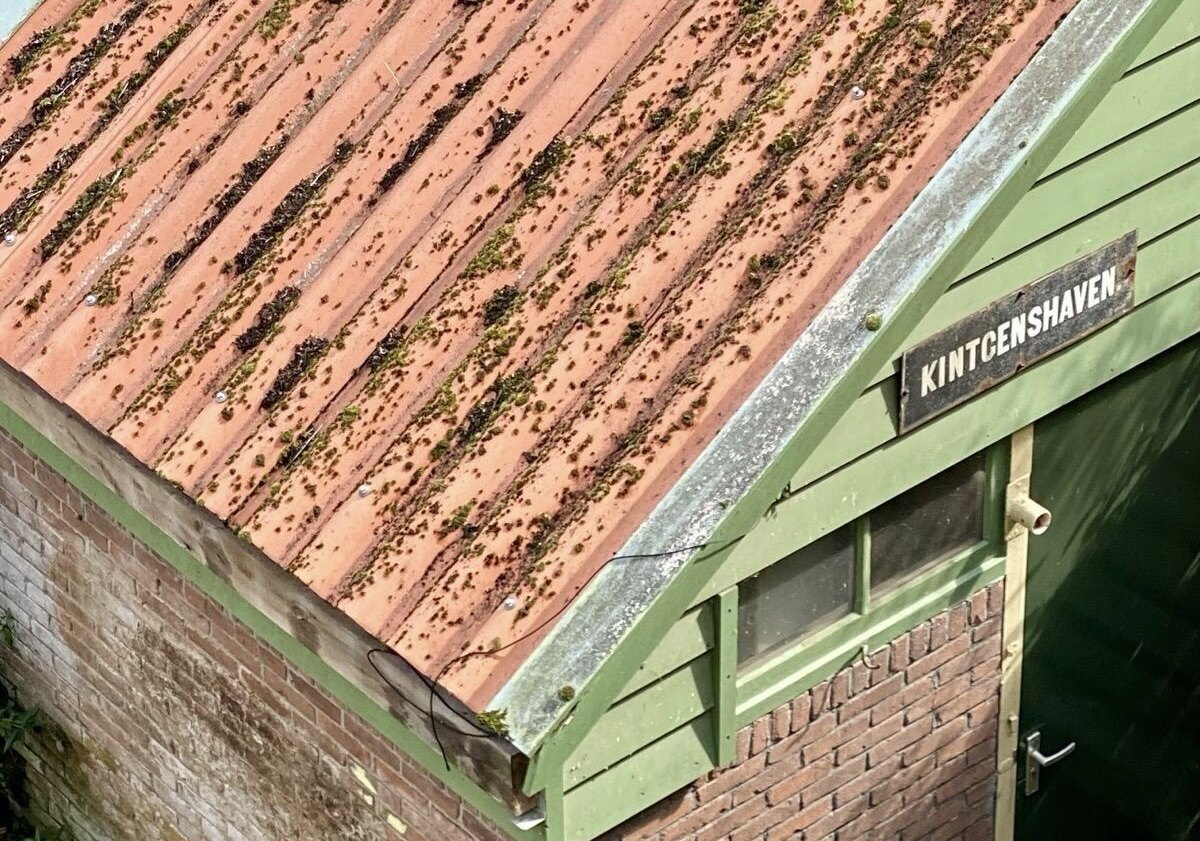 De hele foto