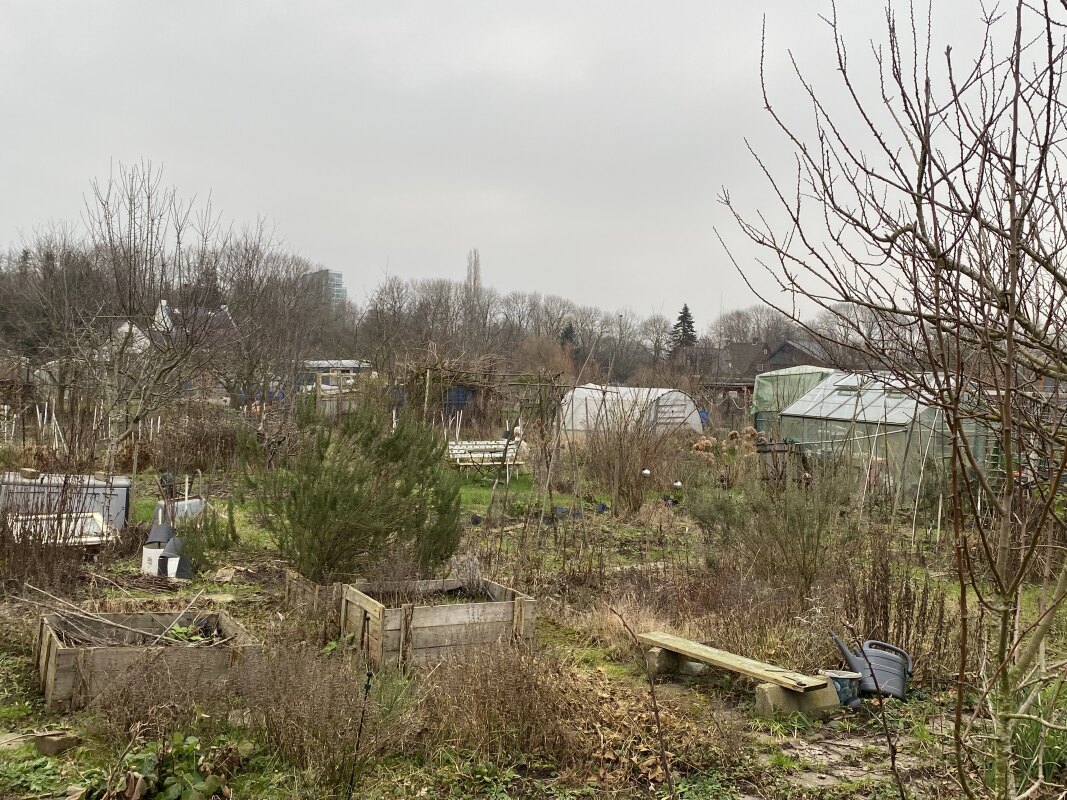 Volkstuinencomplex Rijndijk. Foto: JT