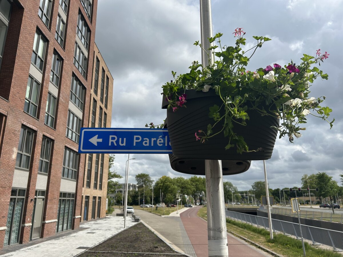 Aan de andere kant van de laan gaat nog niet alles goed... Foto: JT