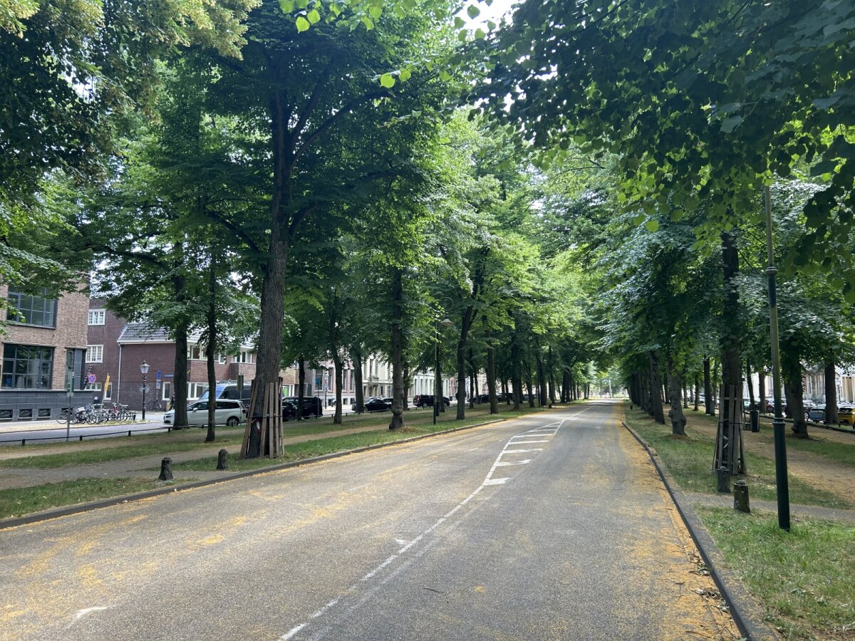 Volgend jaar rijden hier geen auto's meer (foto: JT)