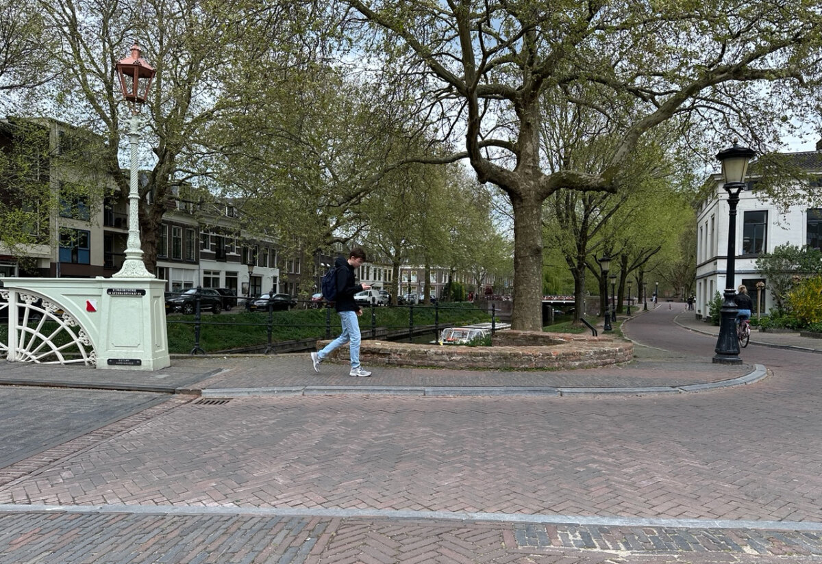 Blik over de Weerdsingel bij de Weerdbrug. Foto: Dik Binnendijk  