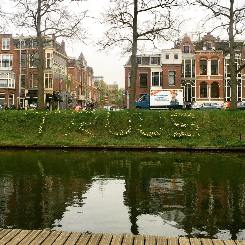 April 2018, het talud langs de Catharijnesingel. Foto: Jim Terlingen