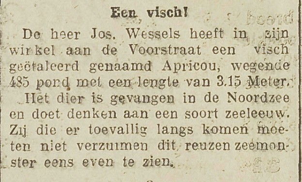 Het Utrechts Nieuwsblad van 19 maart 1926. Jos. staat voor Johannes.