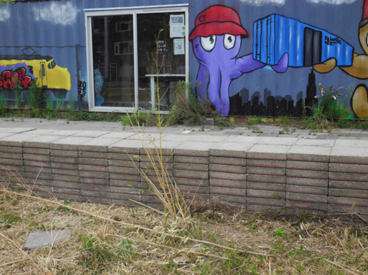 Al wat rest zijn wat zielige sprietjes bamboe. De Kunstkeet is beschilderd door octulOs.