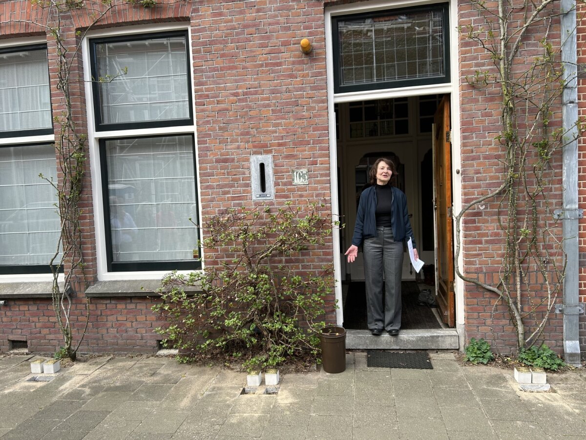De struikelsteentjes liggen klaar voor Mauritsstraat 105. Links en rechts rozenstruiken, in het midden de hortensia. Foto: JT