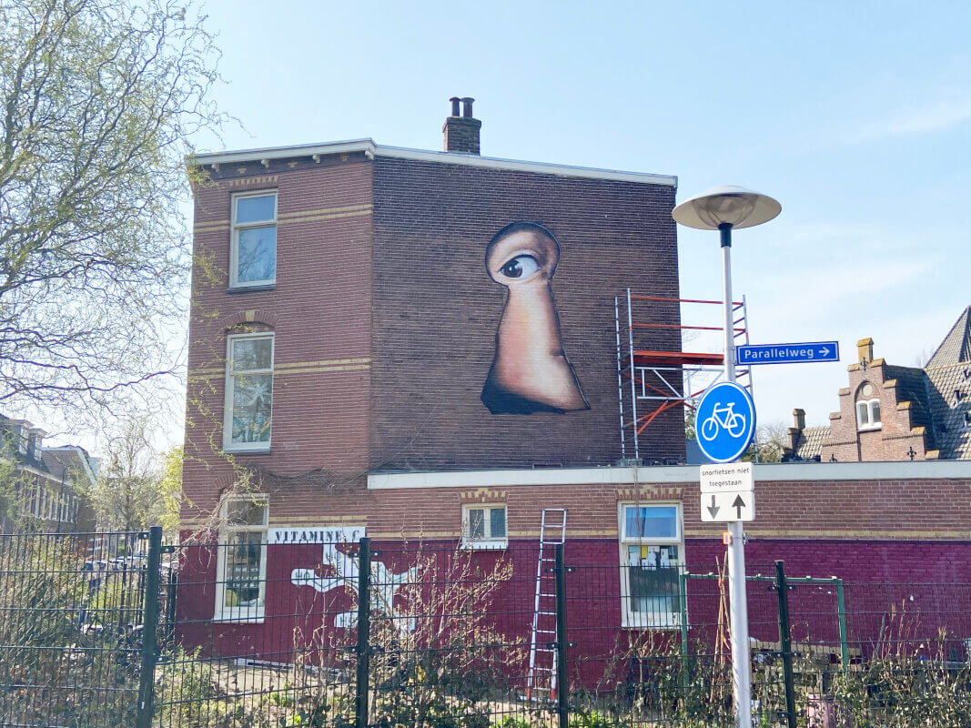 Een nieuwe muurschildering op de hoek van de Abstederdijk en de Oosterspoorbaan. Foto: JT