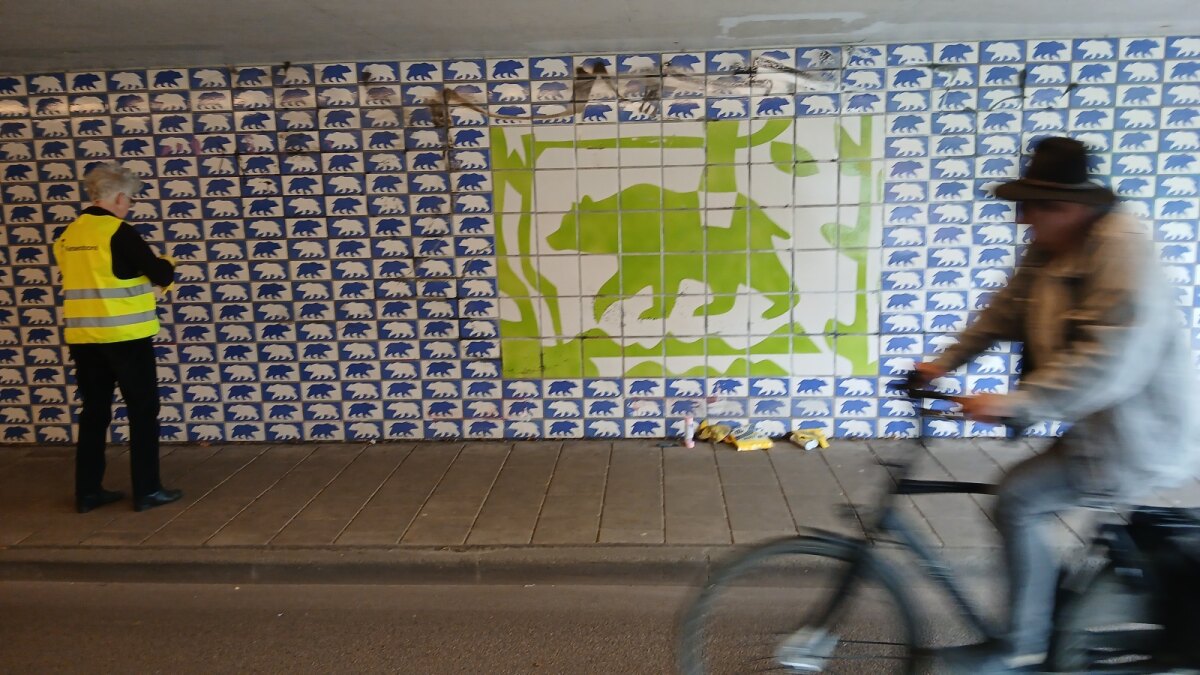 De beer is weer zichtbaar (foto: Peter van Bekkum)