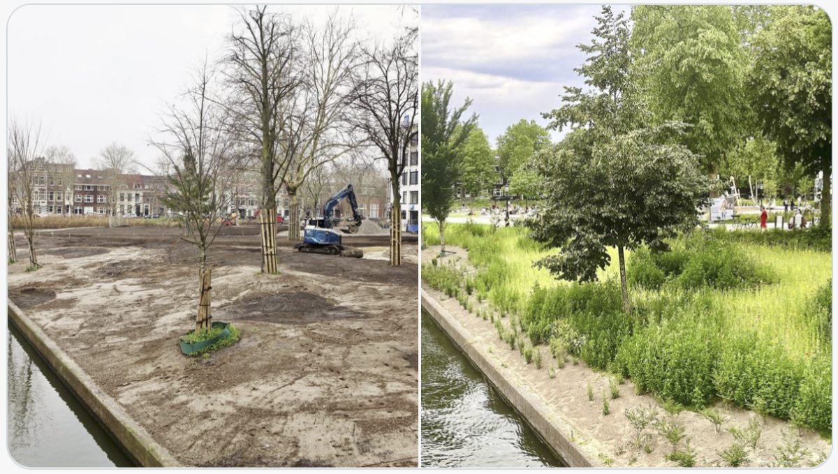 Park Paardenveld, gefotografeerd tijdens de aanleg, eind 2025, en door Edwin Lucas, zomer 2026. 