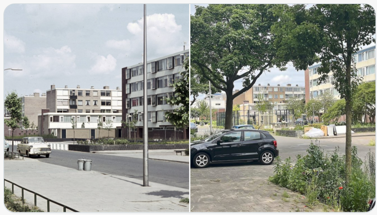 De Van Eysingalaan, gefotografeerd in 1965 en door Edwin Lucas in 2026