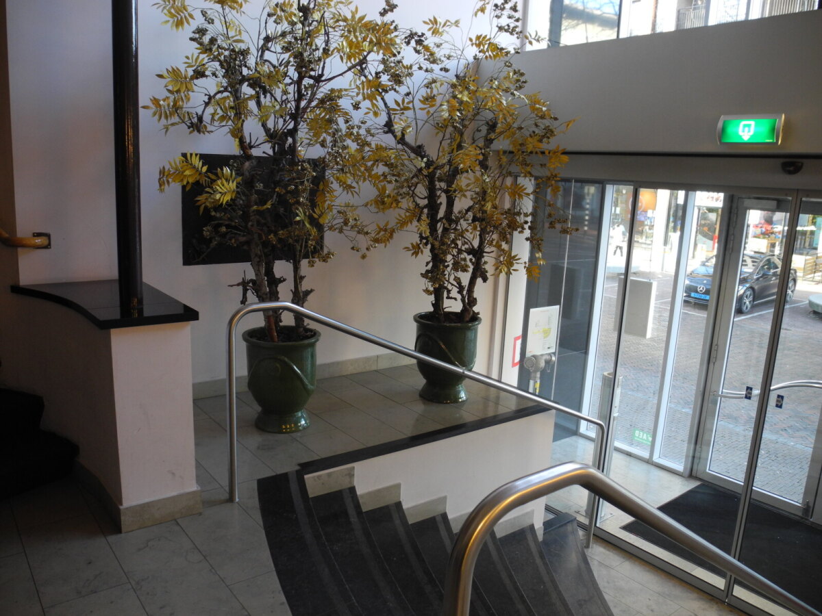 In de lobby achter de planten: de bronzen plaquette. Foto: JvW