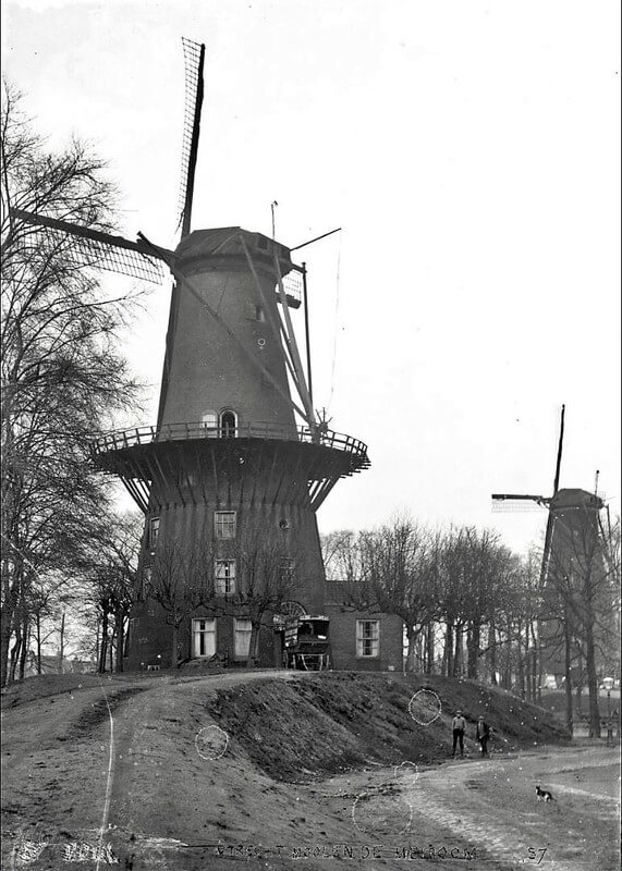 Molen “De Meiboom” rond 1900 met rechts op de achtergrond de molen “Rijn en Son”. Voor de deur van de Meiboom een wagen van stalhouderij en vervoersbedrijf Gebr. Van der Werf. Foto: Het Utrechts Archief