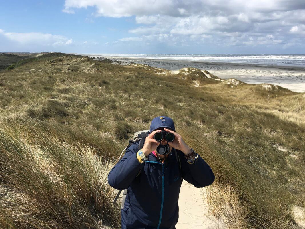 Vogelen op Terschelling. Foto: Henk Simons (2019)