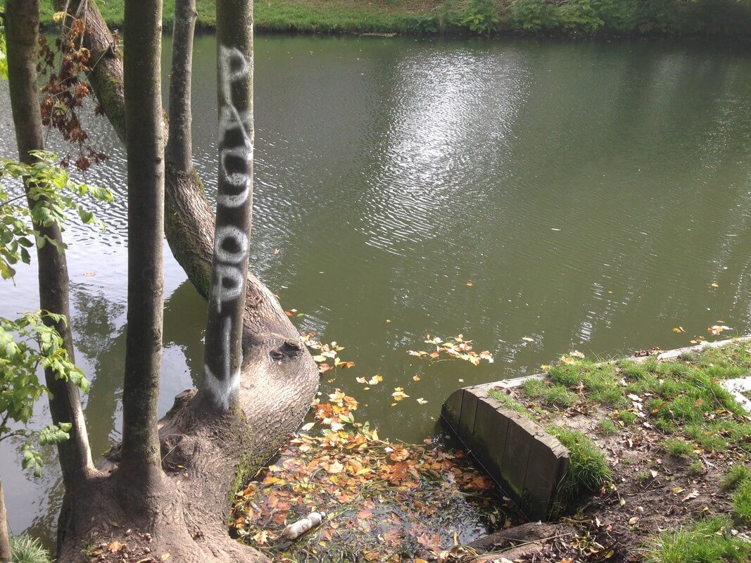 De locatie waar honden te water gaan en waar de spiesen geplaatst waren. Foto: Zita Eijzenbach