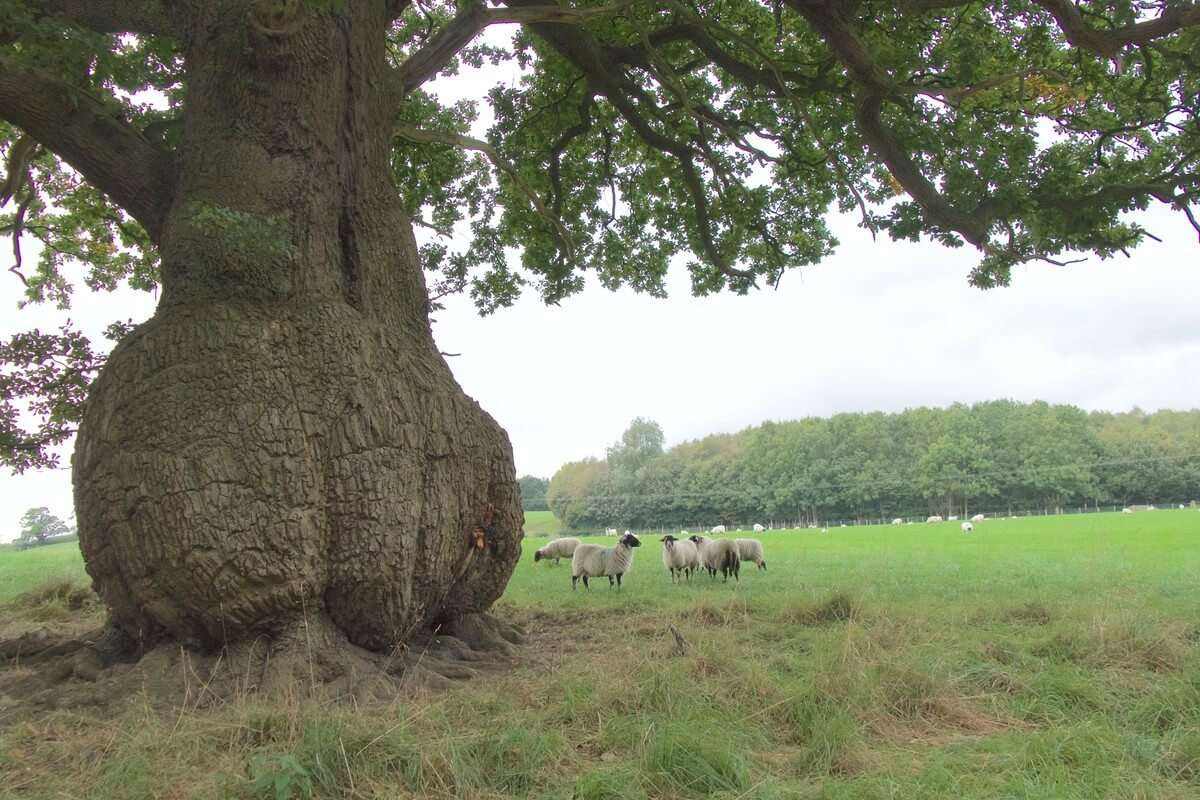 'Wat je ziet dat ben je zelf'. Foto: Ton van den Berg