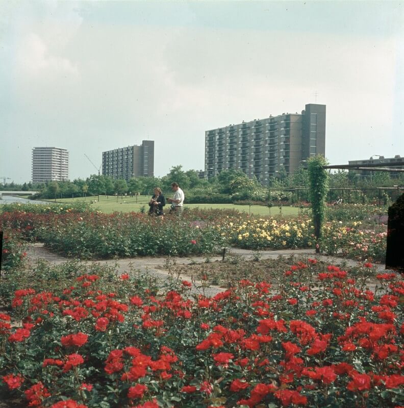 Kanaleneiland, ook wel Rozeneiland, in de jaren zestig. Foto: J.P. van Alff/Het Utrechts Archief