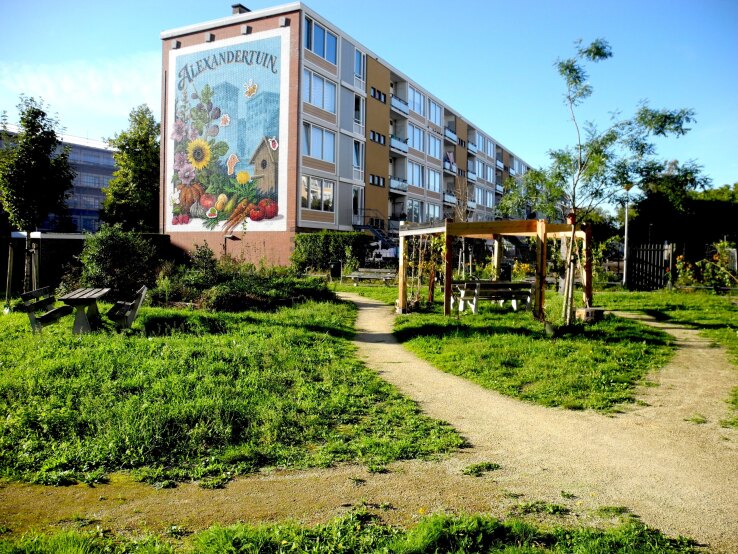 Bloeiende Alexandertuin in Kanaleneiland