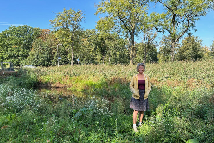 Groene zelfbeheerprojecten in Utrecht (25)